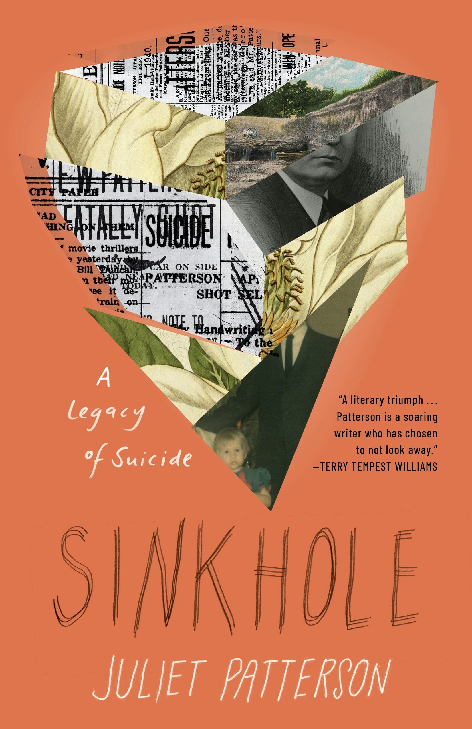 Book cover image for Sinkhole ISBN: 9781571311764